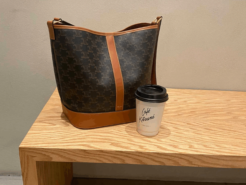 CELINE TRIOMPHE CANVAS BAG REVIEW