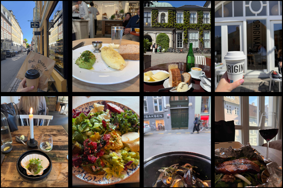 THINGS TO SEE IN COPENHAGEN